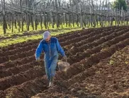 ЕК одобри 109 млн. евро помощ за български фермери