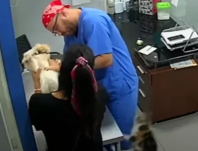 Kотарак напада ветеринар, за да защити куче (ВИДЕО)