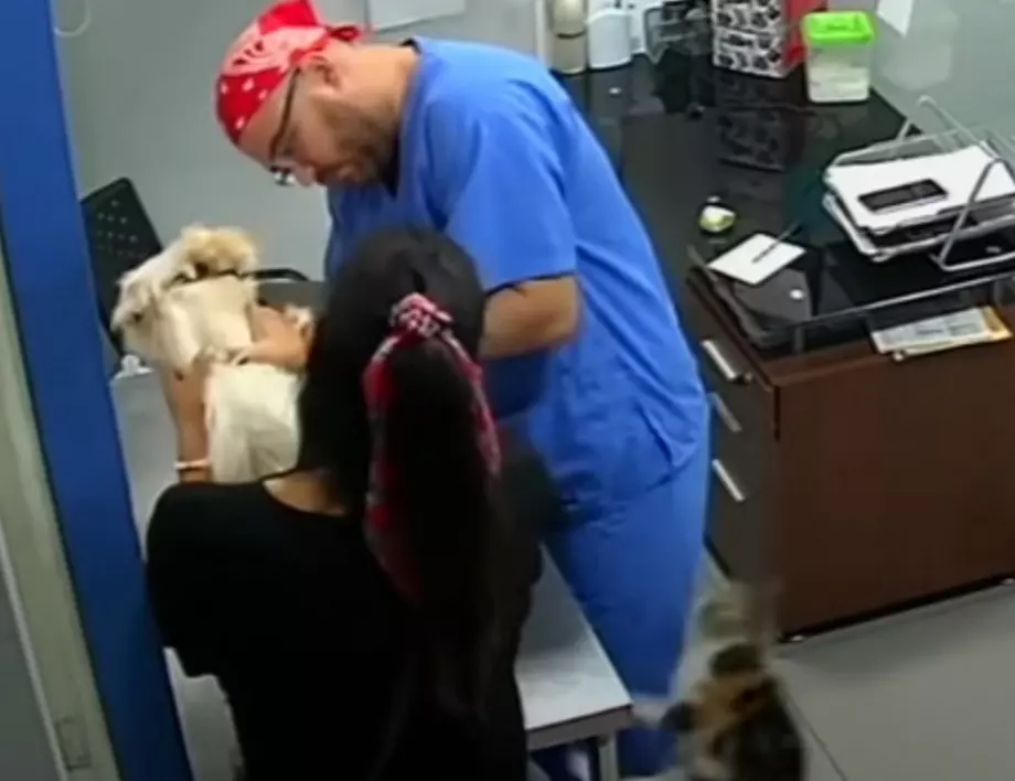 Kотарак напада ветеринар, за да защити куче (ВИДЕО)