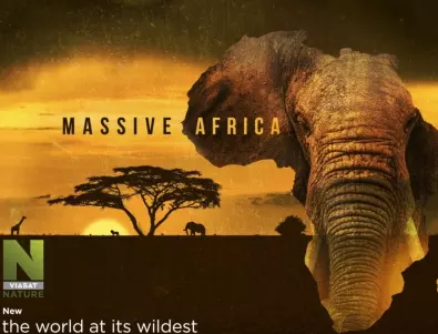 Величествената Африка, изумителният Йелоустоун, Дивата Бразилия, Viasat Nature
