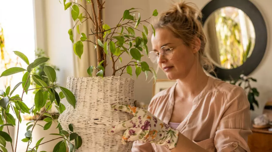 Как да си направите терариум удома 