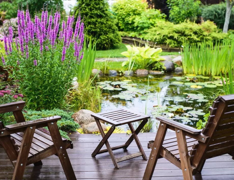 5 бюджетни решения за красива и уютна градина