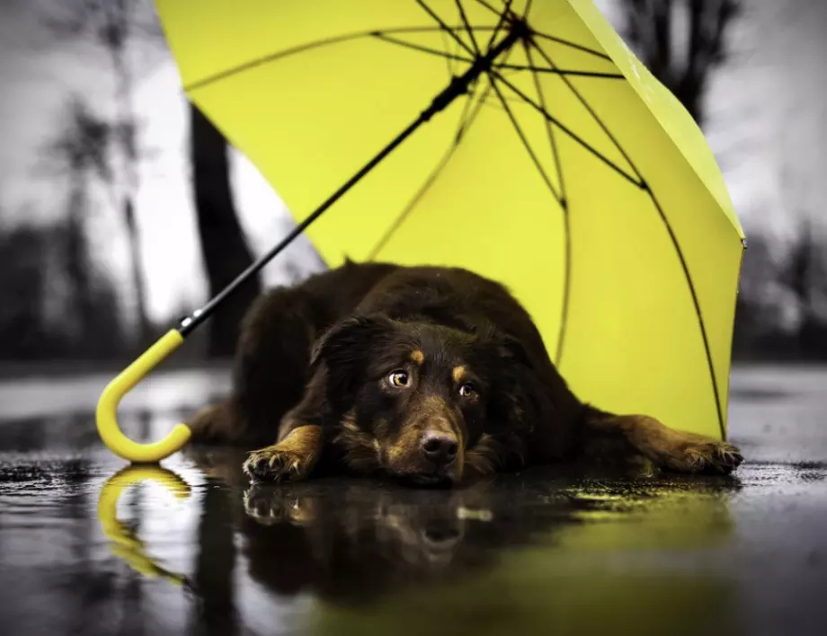 Ето какво ще бъде времето през уикенда