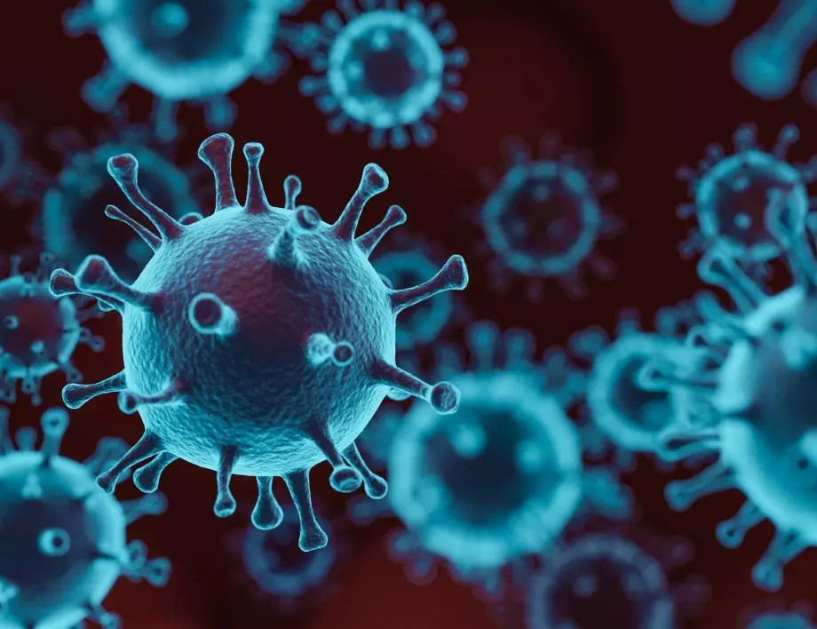 Тестват лекарство от пречистени антитела срещу заразяване с коронавирус
