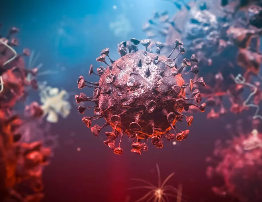 Изследване: Имунитетът срещу COVID-19 може да бъде изгубен за няколко месеца