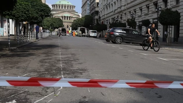 Оглеждат за рискови дървета в централната част на София