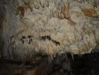 Над 800 души са посетили пещера 