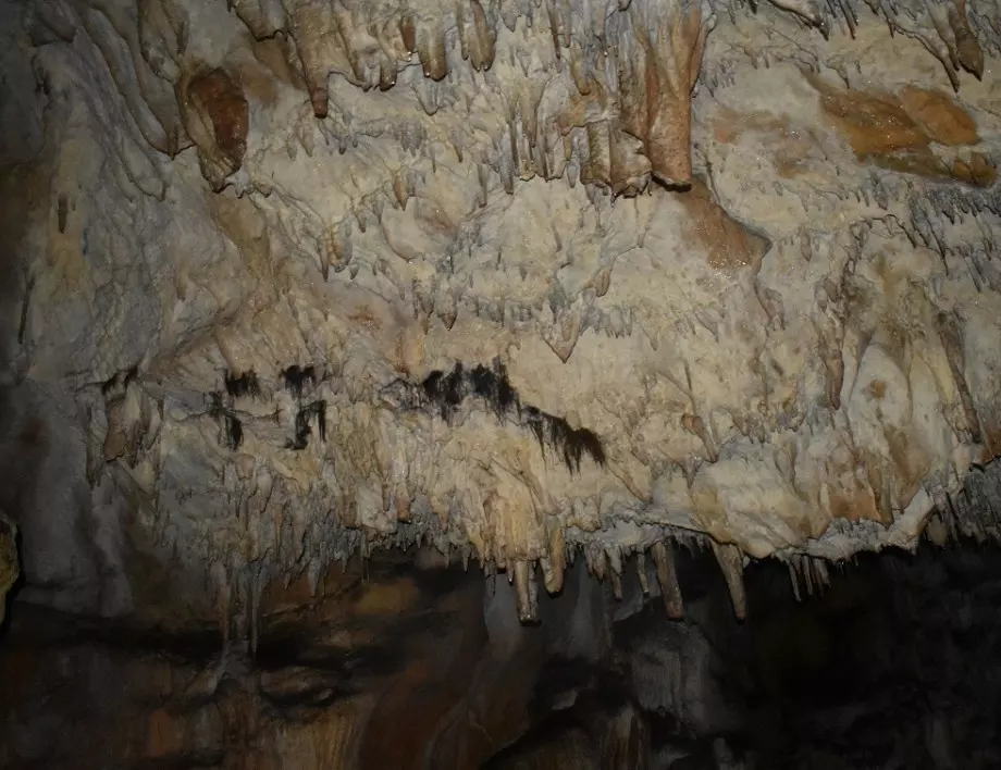 Над 800 души са посетили пещера "Добростански бисер" за месец