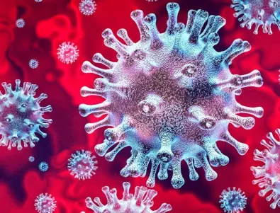 Учени отгледаха клетъчна култура, произвеждаща антитела срещу коронавируса