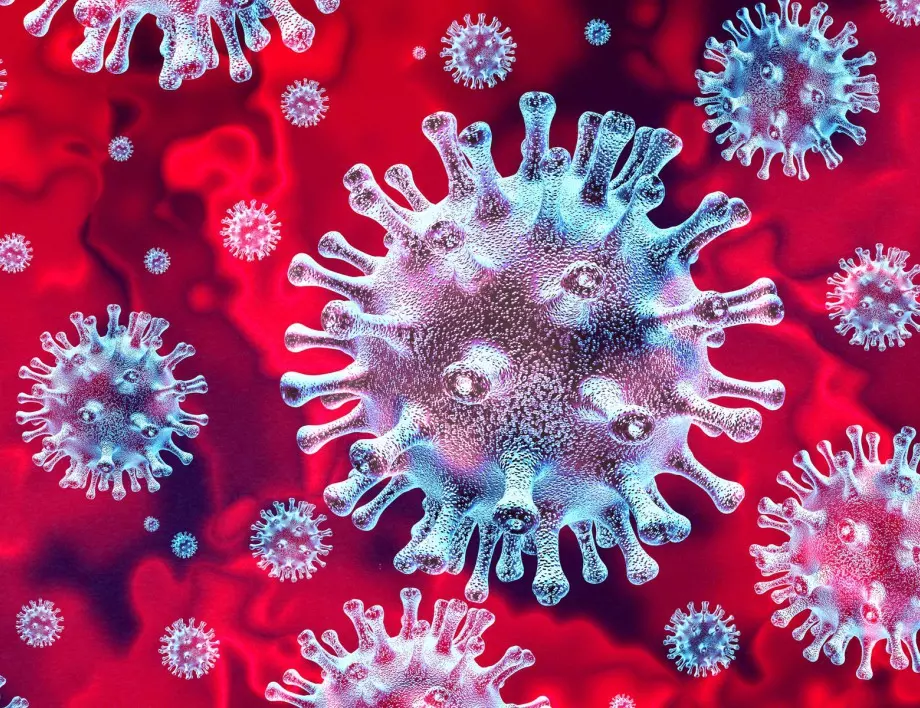 Над 5 милиона станаха заразените с коронавирус в Индия