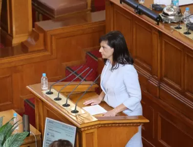 Дариткова депозира проекта за нова Конституция в парламента