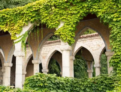 Топ 6 на най-красивите градини в България