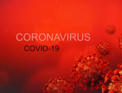 Над 21 милиона са заразените с COVID-19 по света