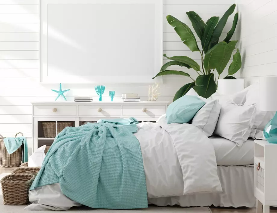 8 растения в спалнята за добър сън