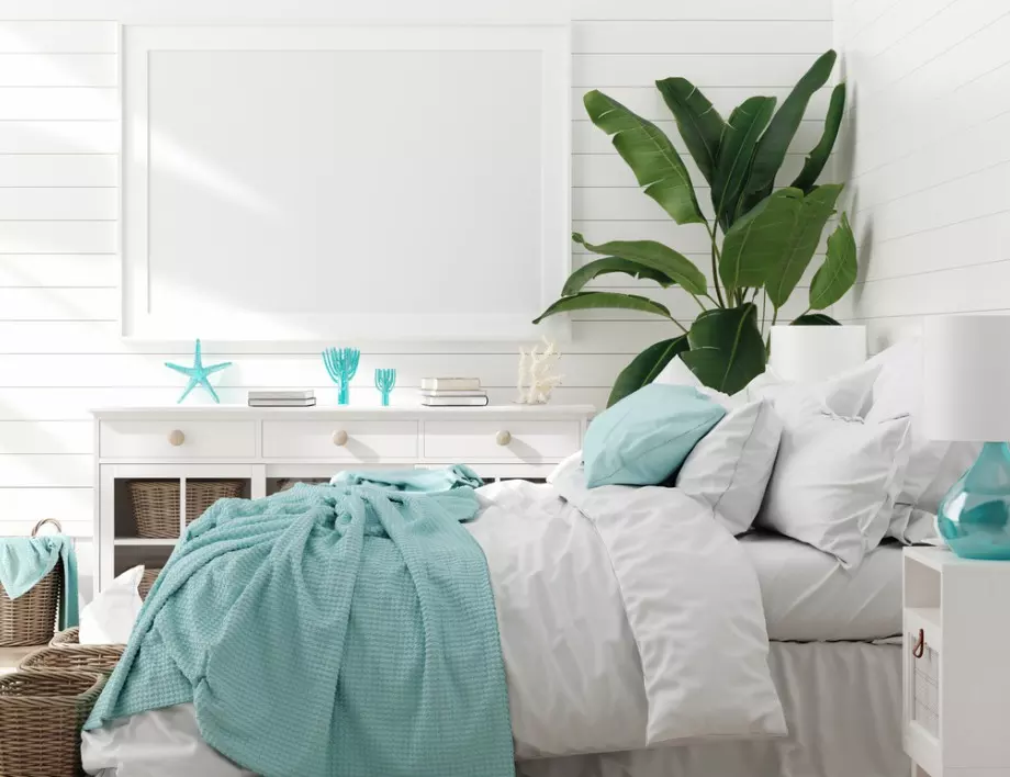 7 растения в спалнята за по-спокоен сън