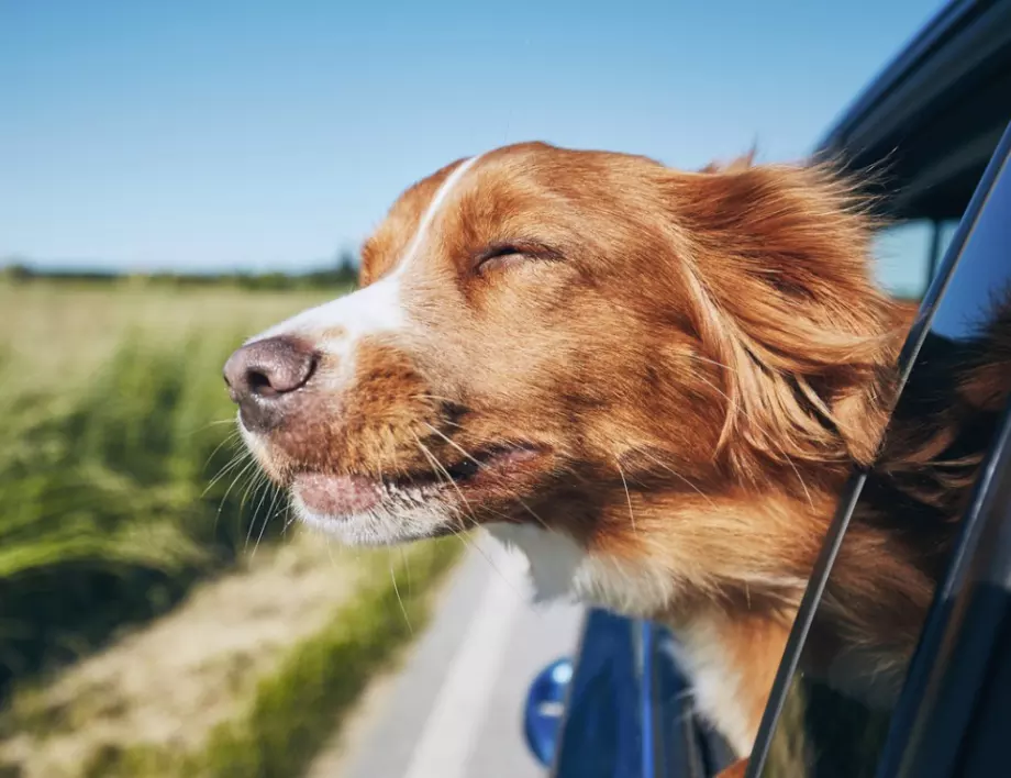 Прогноза за времето - 11 юни (петък)