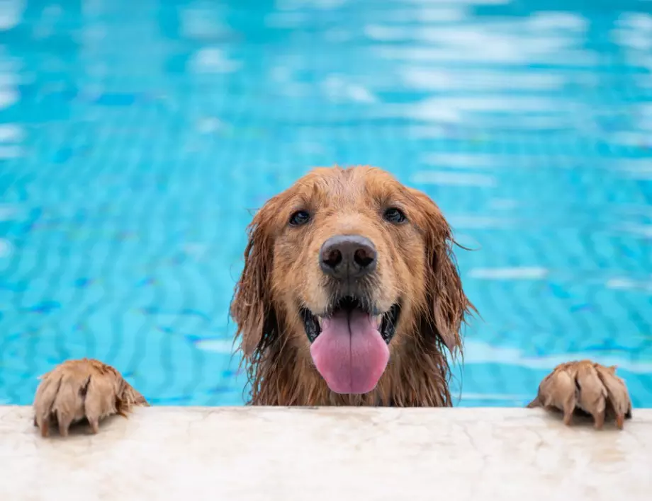 Прогноза за времето - 7 юли (сряда)