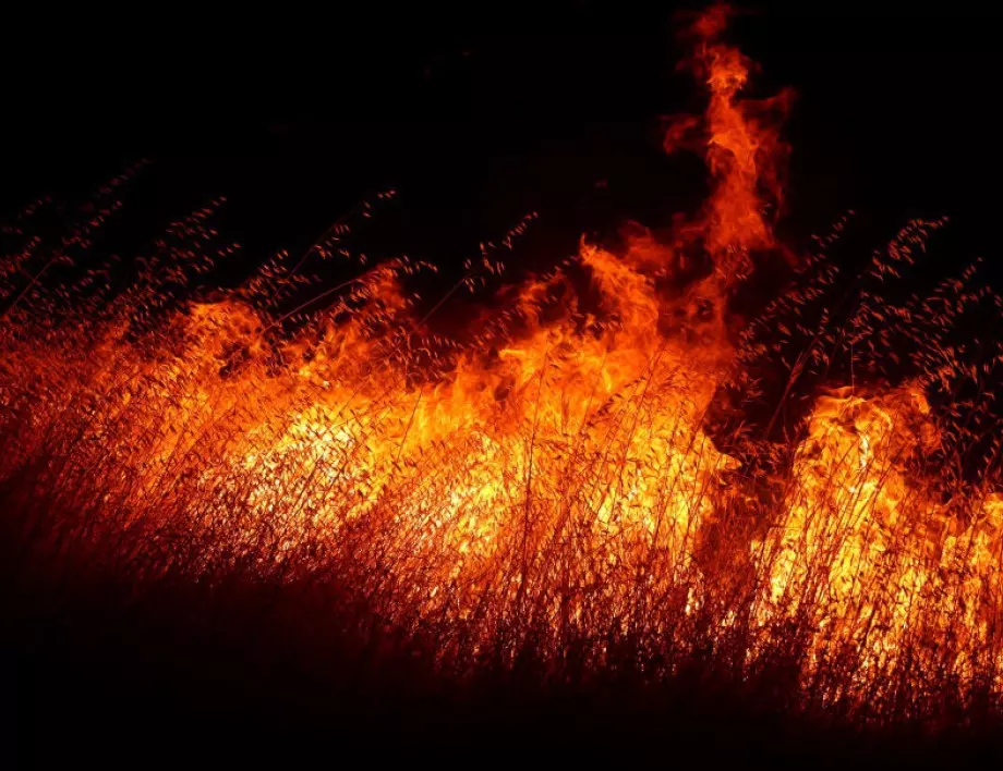 Силен пожар в Благоевградско