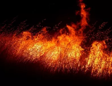 Голям пожар бушува край Малко Търново