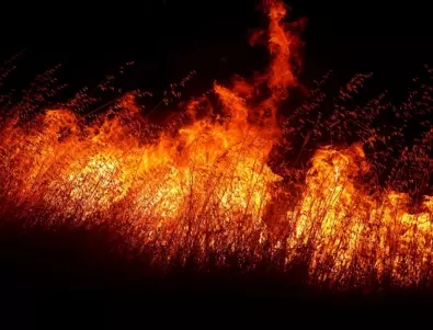 Пожар горя в местността Бакаджика край Ямбол