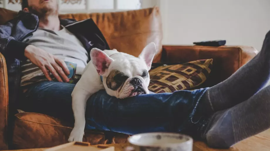 7 неща, които да правим сами у дома, когато ни е скучно