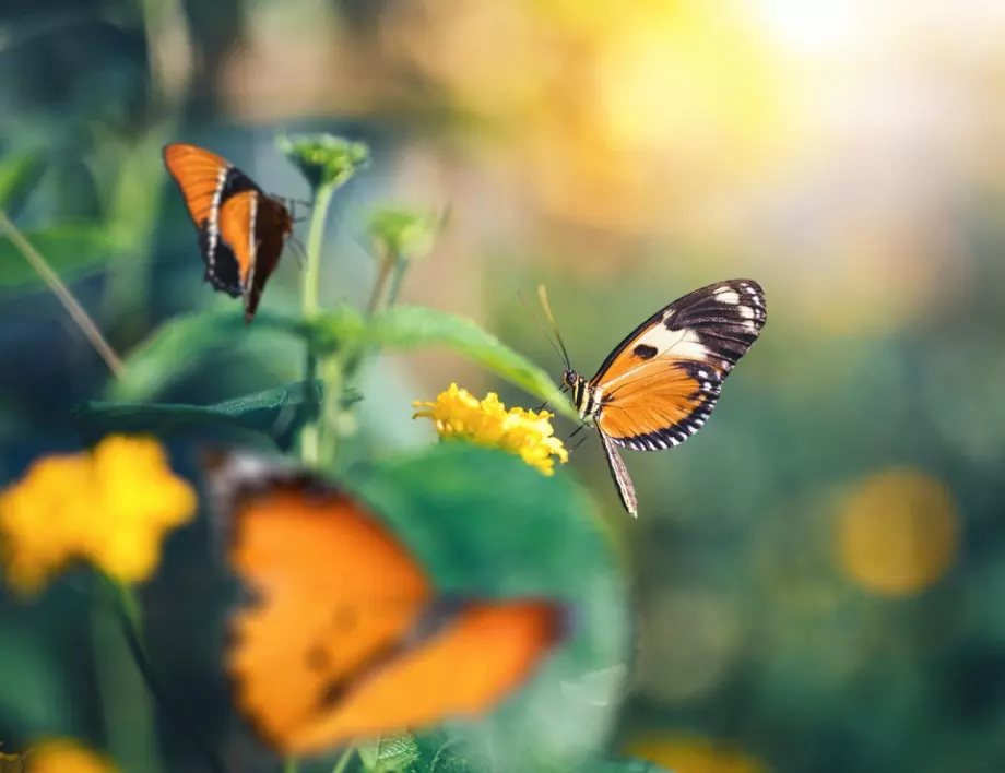 Прогноза за времето - 1 септември (сряда)