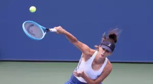 И треньорът на Серина похвали Цвети Пиронкова за представянето ѝ