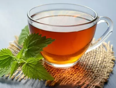 Учени разкриха какво ще се случи с кръвната ви захар, ако всеки ден пиете чай от коприва