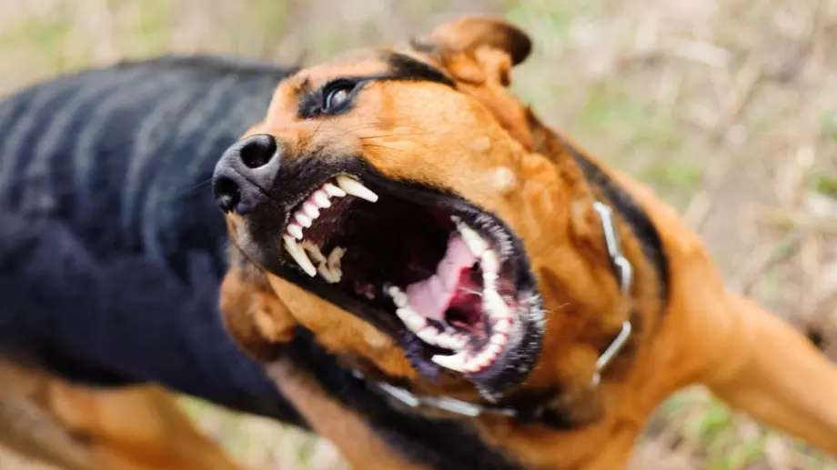 Ужасно: Куче нахапа звезда от НБА, има шевове по лицето и ръката