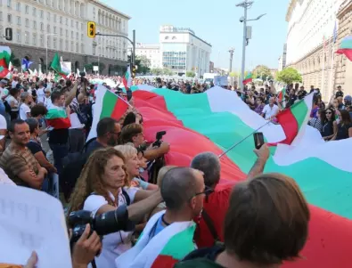 Евродепутат Софи инт Велд: Случващото се в България буди безпокойство 