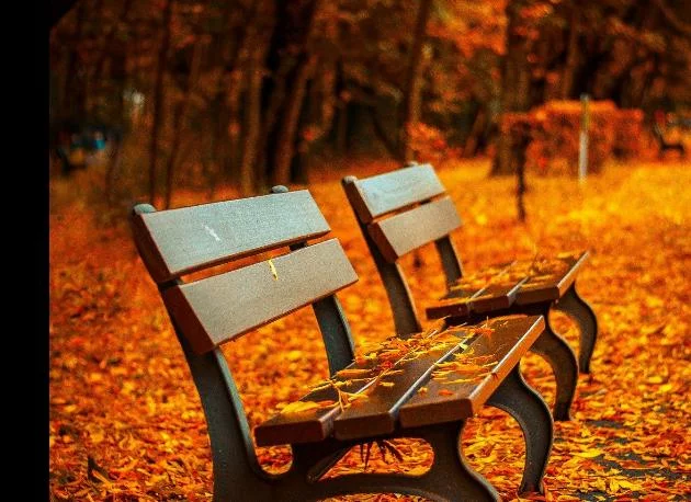 5 любопитни факта за есента, които не знаете