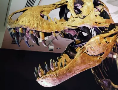 Мексикански учени откриха нов вид динозавър с гребен 