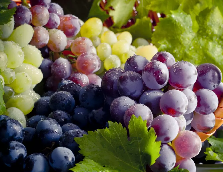Бяло и червено грозде – какво да хапвате?
