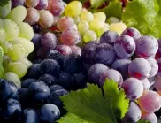 6 уникални ползи от черното грозде и защо е важно да го консумираме