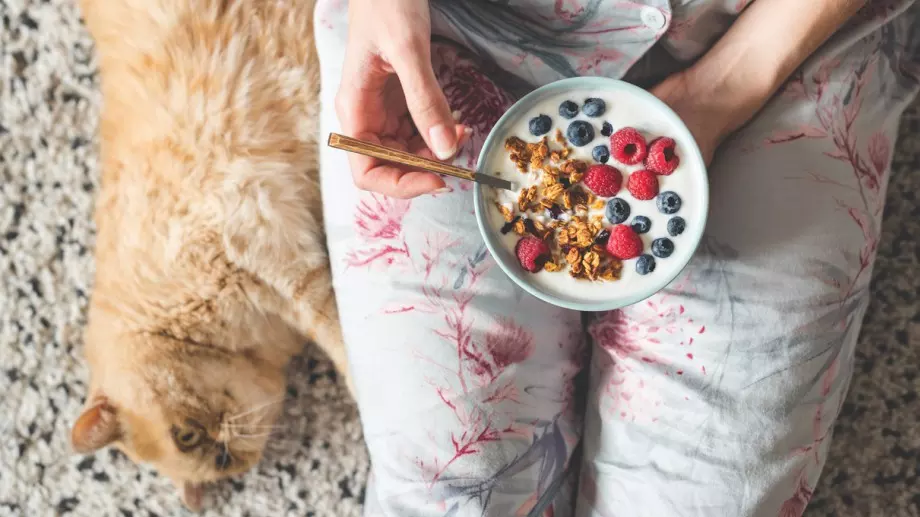 Предиобедната закуска - да или не?