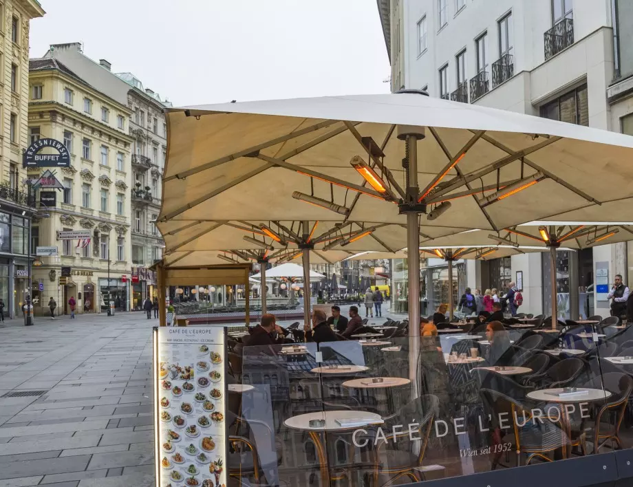 Австрия: От 19 май отварят ресторантите, хотелите и театрите