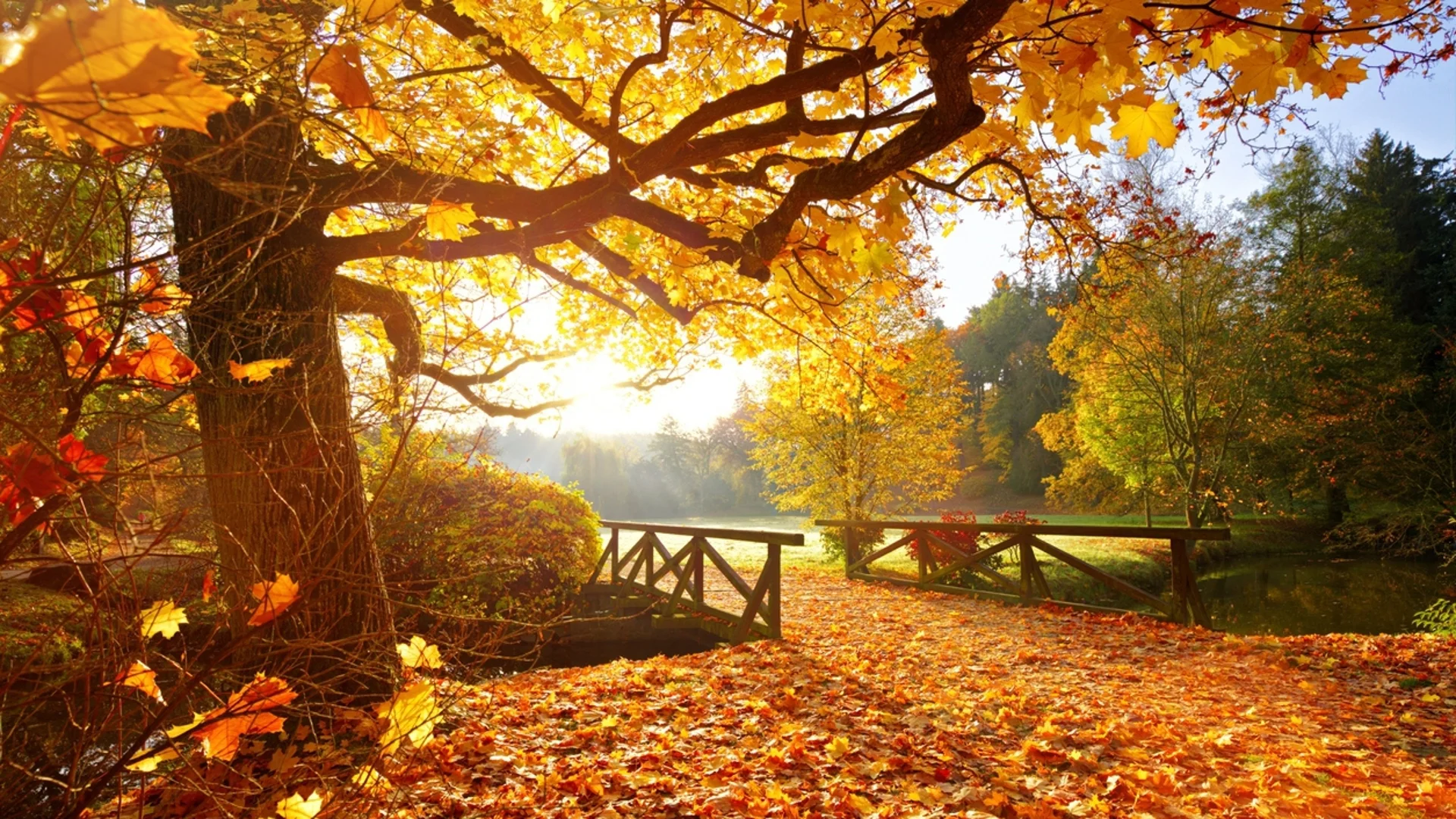 Прогноза за времето - 20 декември 2023 г. (сряда)