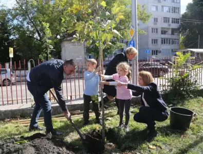 Над 10 000 дръвчета ще засядат в Стара Загора