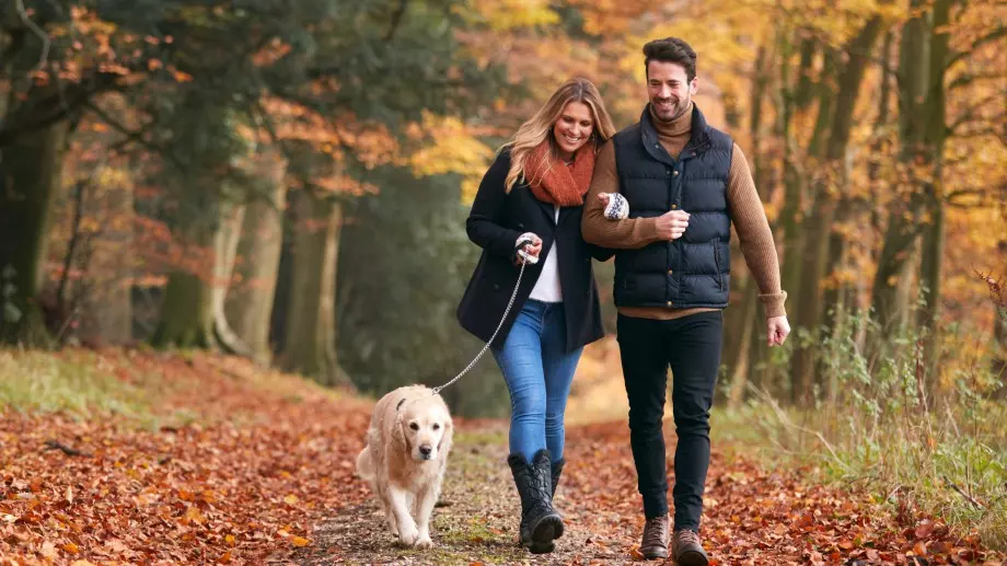 Времето утре, 9 ноември