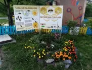 Петър Вълчовски: Най-големите фенове на „Музей на пчелата” са децата