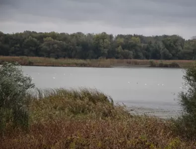 ЧЕЗ Разпределение се включва в нов проект за опазване на птиците по река Дунав