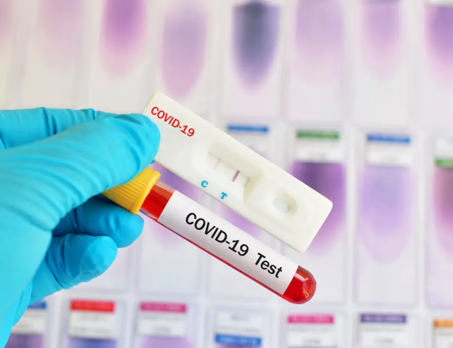 Седмицата на коронавируса: Епидемията продължава да затихва