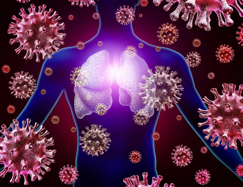 Научно наблюдение: Коронавирусът състарява органите ни 
