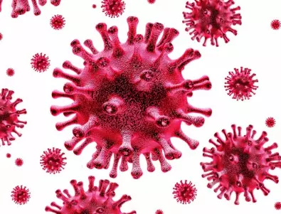 Изследване: Има кръстосан имунитет срещу COVID-19 т.е. антитела при хора, които не са боледували 