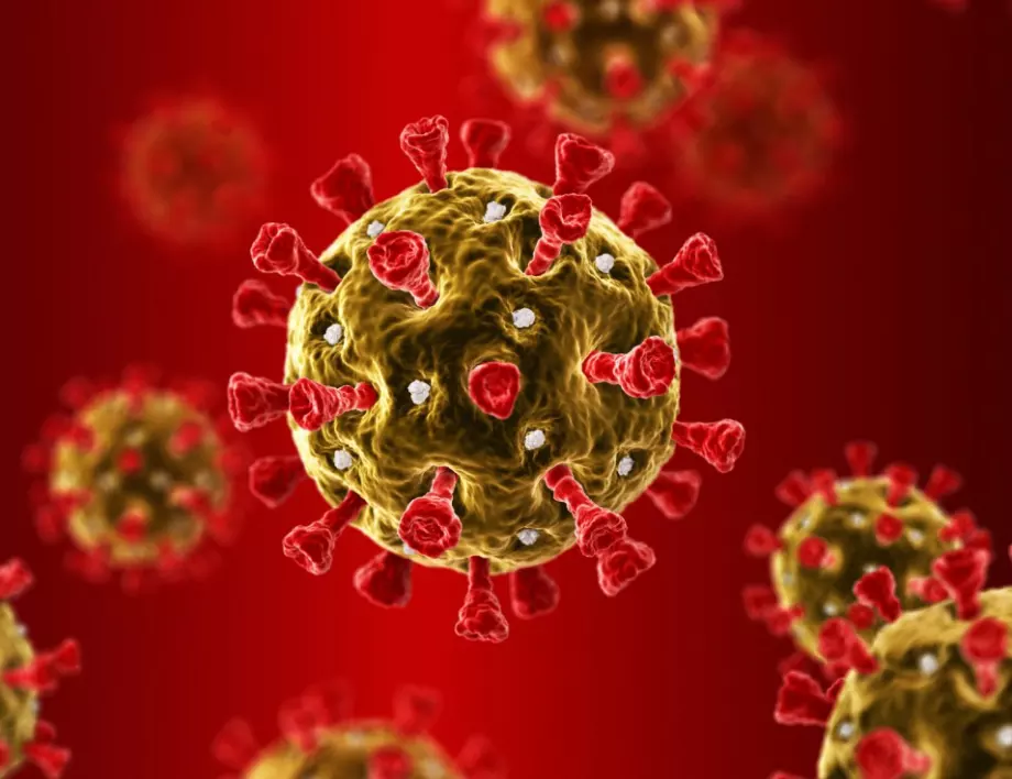 Учени откриха ново слабо място на коронавируса