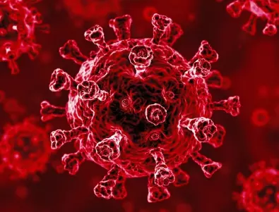 Вирусолог от Ухан предупреждава за нови опасни видове коронавирус 