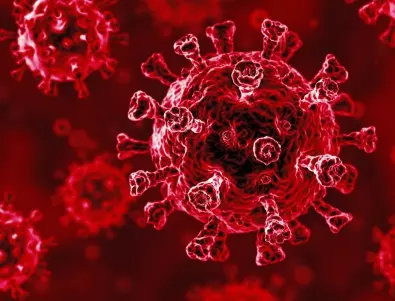 Мутация на коронавируса го крие от антителата в организма
