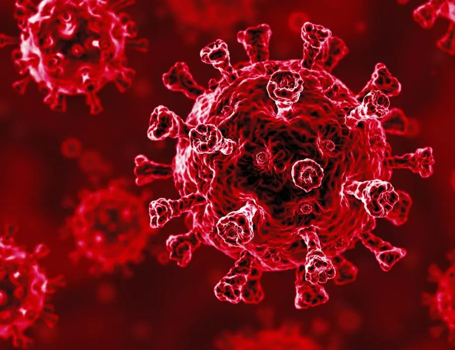 Мутация на коронавируса го крие от антителата в организма