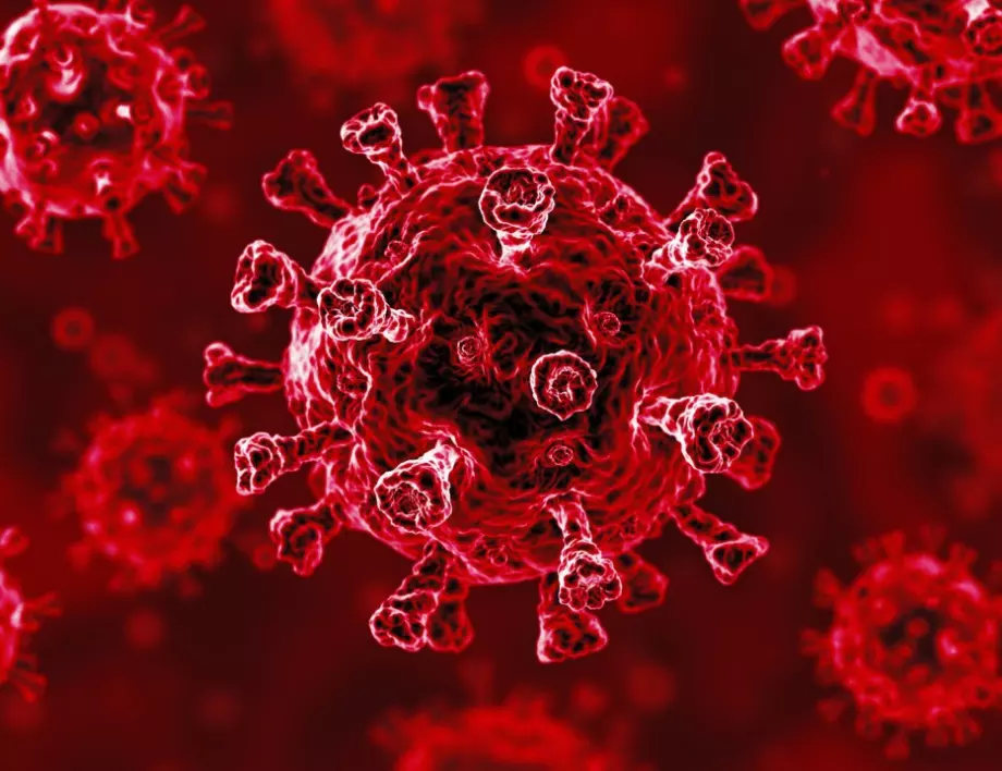 В Турция се хвалят: Открихме лекарство, което убива коронавируса за 60 секунди