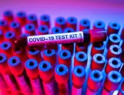 Коронавирусът в България: В 18 области няма открити нови заразени
